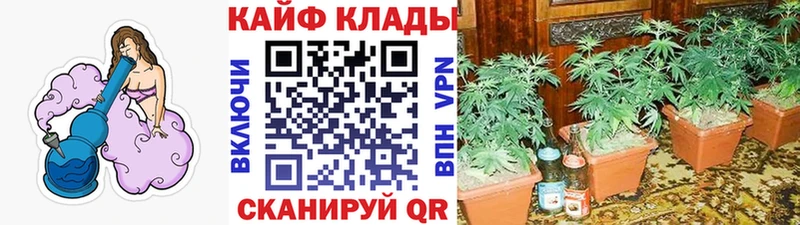 Как найти закладки Лахденпохья Псилоцибиновые грибы Мефедрон ГАШ