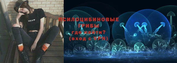 амф Арсеньев