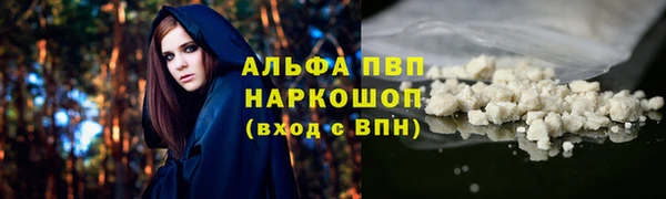 амф Арсеньев