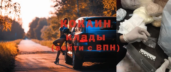 амф Арсеньев
