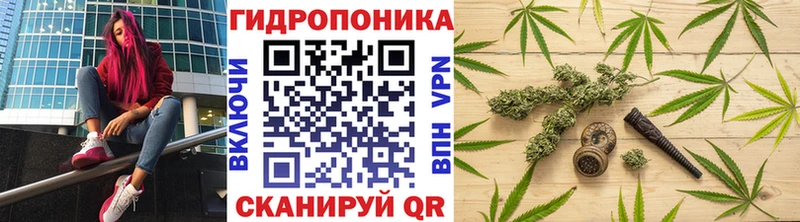 Бошки Шишки ГИДРОПОН  KRAKEN как зайти  Лахденпохья 